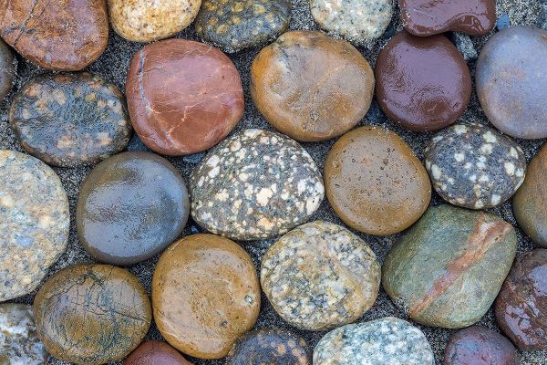 Looney, Hollice 아티스트의 Usa-Oregon-Bandon Bandon Beach-Closeup of Rocks Gathered on the Beach작품입니다.